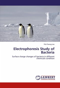 Electrophoresis Study of Bacteria