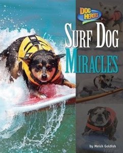 Surf Dog Miracles - Goldish, Meish