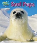 Seal Pups