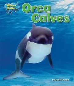 Orca Calves - Owen, Ruth
