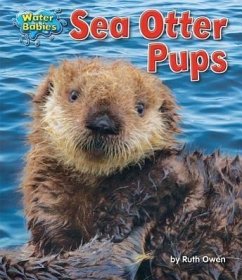 Sea Otter Pups - Owen, Ruth