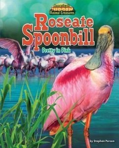 Roseate Spoonbill: Pretty in Pink - Person, Stephen