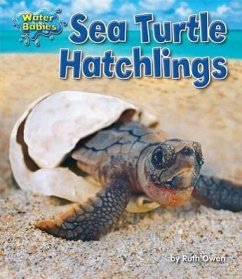 Sea Turtle Hatchlings - Owen, Ruth