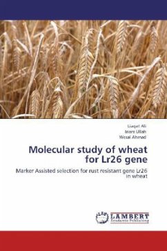 Molecular study of wheat for Lr26 gene