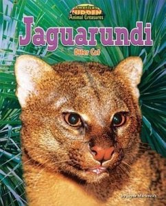 Jaguarundi: Otter Cat - Markovics, Joyce