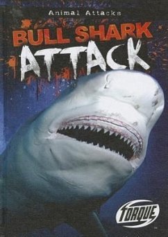 Bull Shark Attack - Owings, Lisa