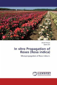 In vitro Propagation of Roses (Rosa indica)