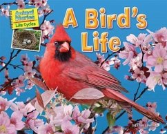 A Bird's Life - Lawrence, Ellen