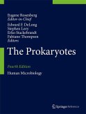 The Prokaryotes The Prokaryotes