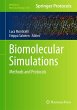 Biomolecular Simulations - Bild 1