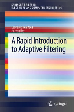 A Rapid Introduction to Adaptive Filtering - Vega, Leonardo Rey;Rey, Hernan