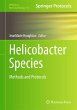 Helicobacter Species - Bild 1