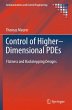Control of Higher-Dimensional PDEs - Bild 1