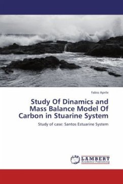 Study Of Dinamics and Mass Balance Model Of Carbon in Stuarine System