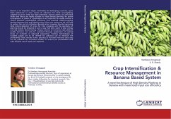 Crop Intensification & Resource Management in Banana Based System