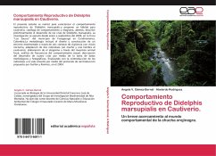 Comportamiento Reproductivo de Didelphis marsupialis en Cautiverio. - Gámez-Bernal, Angela V.;Rodriguez, Abelardo