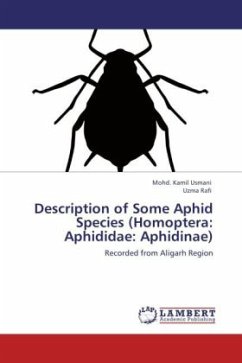 Description of Some Aphid Species (Homoptera: Aphididae: Aphidinae)