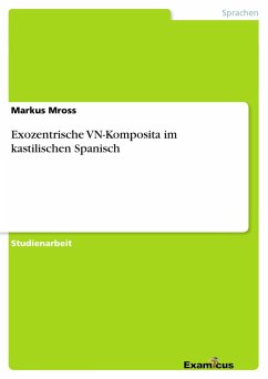 Exozentrische VN-Komposita im kastilischen Spanisch - Mross, Markus