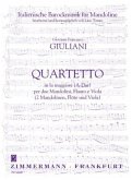 Quartett in C-Dur, für 2 Mandolinen, Flöte und Viola. Quartetto in do maggiore per due Mandolini, Flauto e Viola