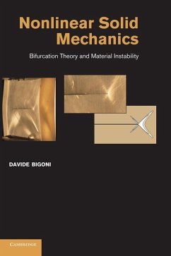 Nonlinear Solid Mechanics - Bigoni, Davide