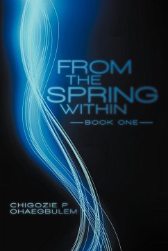 From the Spring Within - Ohaegbulem, Chigozie P.