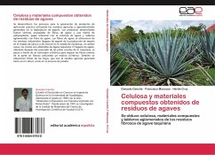 Celulosa y materiales compuestos obtenidos de residuos de agaves - Canché, Gonzalo;Moscoso, Francisco;Cruz, Herbé