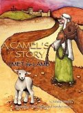 A CAMEL'S STORY, I MET the LAMB