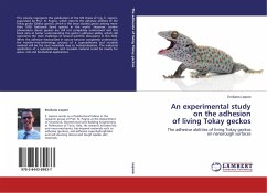 An experimental study on the adhesion of living Tokay geckos
