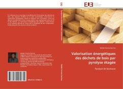Valorisation énergétiques des déchets de bois par pyrolyse étagée - Ferreira Quirino, Waldir
