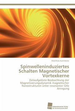 Spinwelleninduziertes Schalten Magnetischer Vortexkerne - Kammerer, Matthias