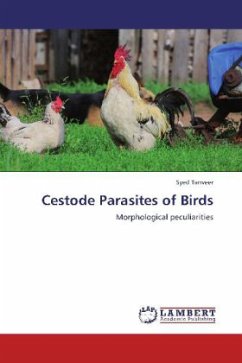 Cestode Parasites of Birds