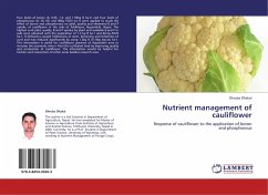 Nutrient management of cauliflower