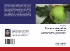 Guava pruning and its physiology