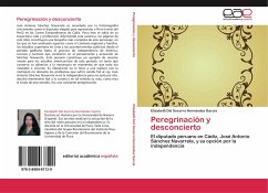 Peregrinación y desconcierto - Hernández García, Elizabeth Del Socorro