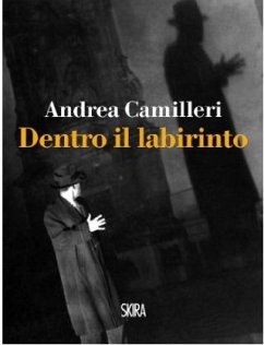 Cover Dentro il labirinto