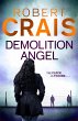 Demolition Angel - Bild 1