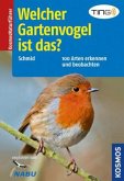 Welcher Gartenvogel ist das?