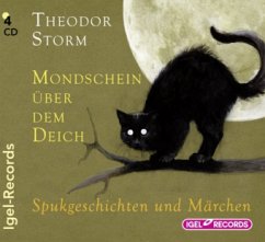 Mondschein über dem Deich - Storm, Theodor