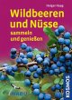 Wildbeeren und Nüsse - Bild 1