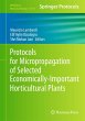 Protocols for Micropropagation of... - Bild 1