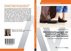 Rahmenbedingungen der Vaterschaft auf Mikro-, Meso- und Makroebene