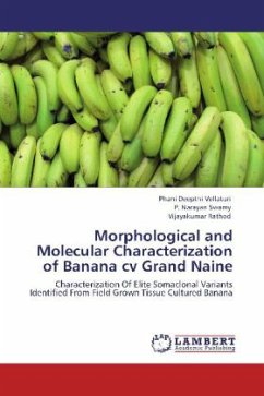 Morphological and Molecular Characterization of Banana cv Grand Naine - Vellaturi, Phani Deepthi;Narayan Swamy, P.;Rathod, Vijayakumar