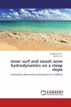 Inner surf and swash zone hydrodynamics on a steep slope - Shin, Sungwon;Cox, Daniel