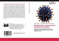 Distribución espacial de la incidencia de gripe - Tamames, Sonia;Castrodeza, J.Javier;O.de Lejarazu, Raúl