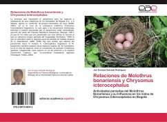 Relaciones de Molothrus bonariensis y Chrysomus icterocephalus - Salcedo Rodriguez, Jair Enrique