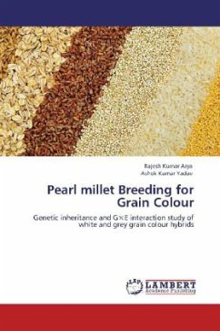Pearl millet Breeding for Grain Colour