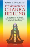 Praxisbuch der Chakraheilung