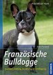 Französische Bulldogge - Bild 1