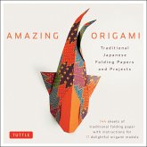 Amazing Origami Kit