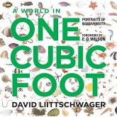 A World in One Cubic Foot